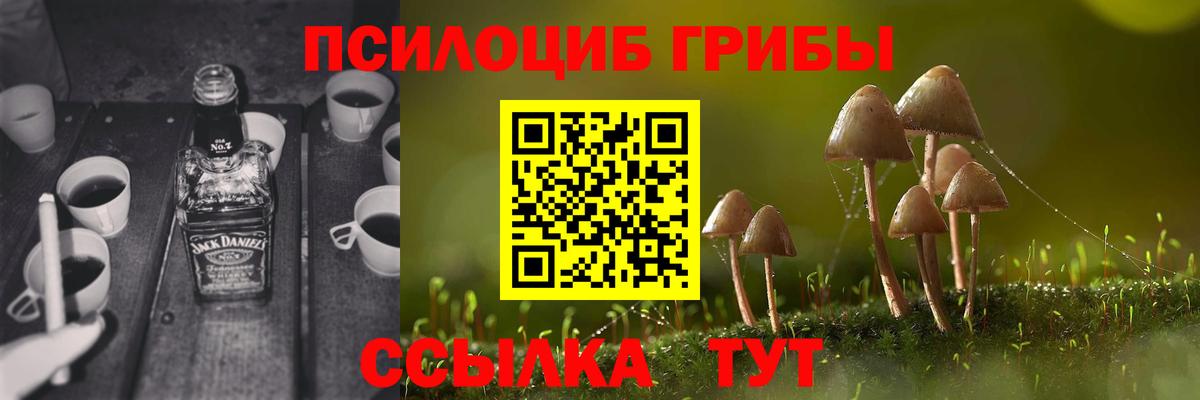 Галлюциногенные грибы GOLDEN TEACHER Горячий Ключ
