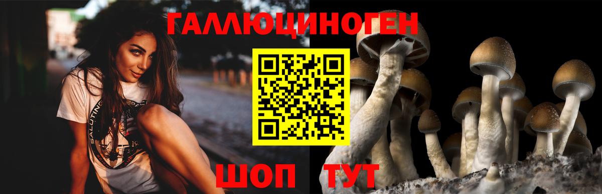 Галлюциногенные грибы Cubensis  Псилоцибиновые грибы Psilocybine cubensis  Вход с VPN  Горячий Ключ 