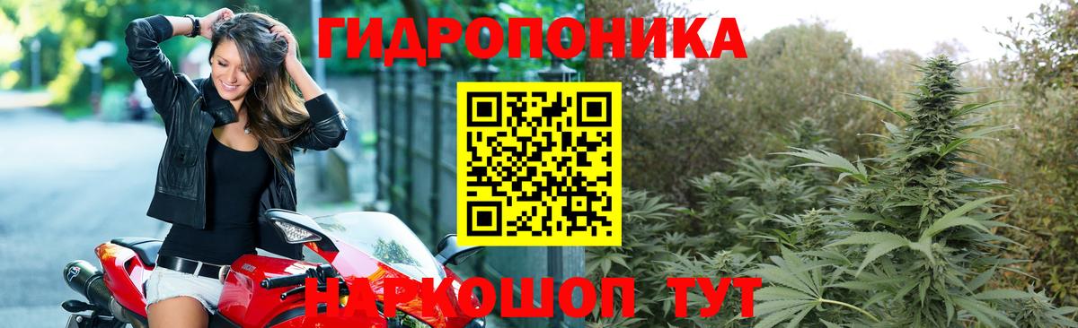Каннабис White Widow Горячий Ключ